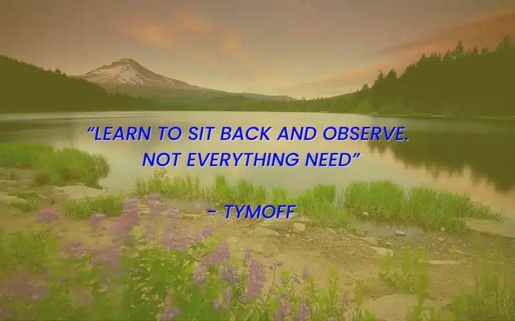 Learn to sit back and observe. Not everything need – tymoff