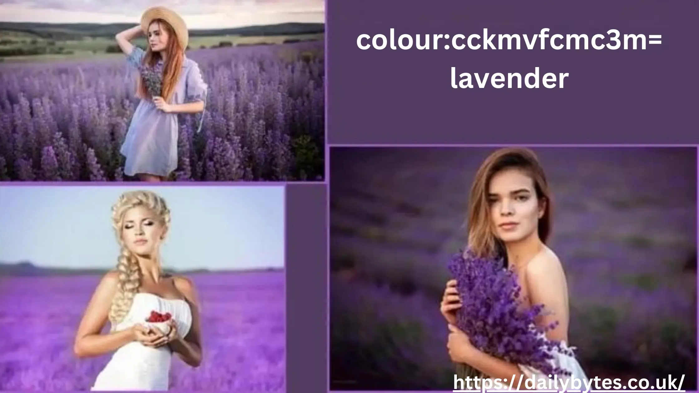 colour:cckmvfcmc3m= lavender