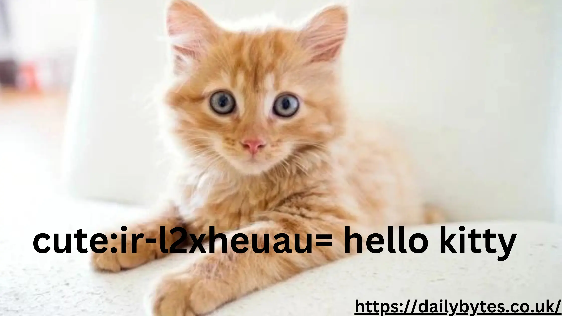 cute:ir-l2xheuau= hello kitty