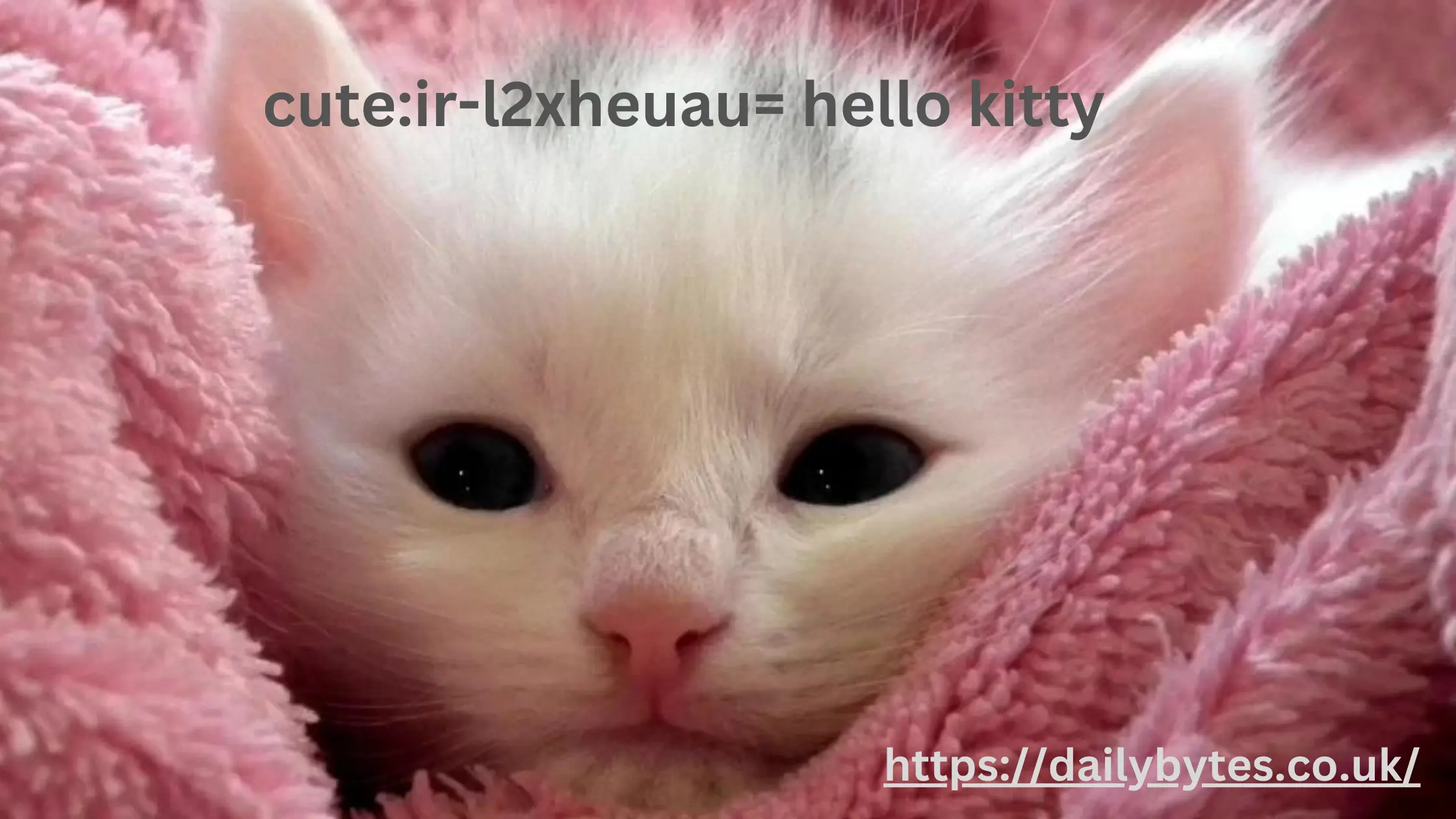 cute:ir-l2xheuau= hello kitty